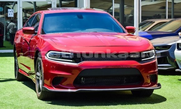 Buy Import Dodge Charger Red Car in Import - Dubai in Baa