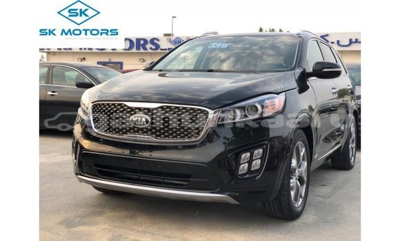 Buy Import Kia Sorento Black Car in Import - Dubai in Baa