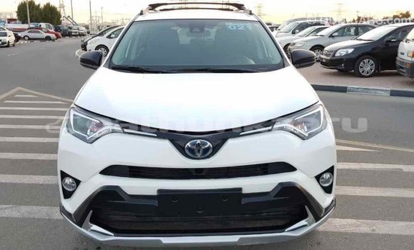 Buy Import Toyota RAV4 White Car in Import - Dubai in Baa Buy Import Toyota RAV4 White Car in Import - Dubai in Baa