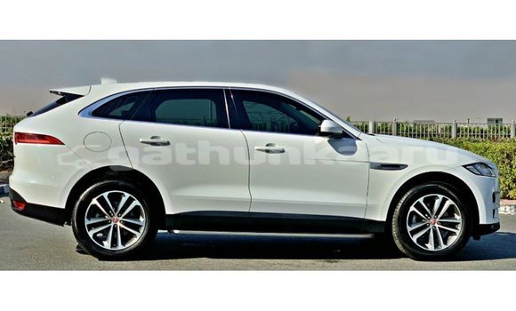 Buy Import Jaguar F-Pace White Car in Import - Dubai in Baa Buy Import Jaguar F-Pace White Car in Import - Dubai in Baa