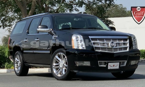 Buy Import Cadillac Escalade Black Car in Import - Dubai in Baa