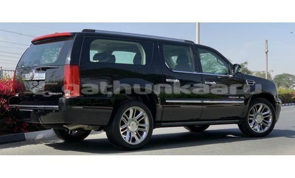 Buy Import Cadillac Escalade Black Car in Import - Dubai in Baa Buy Import Cadillac Escalade Black Car in Import - Dubai in Baa