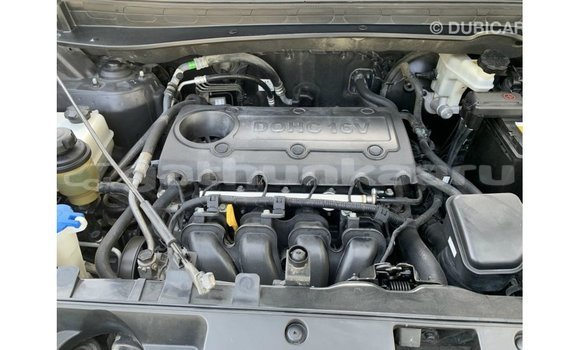 Buy Import Kia Sportage Black Car in Import - Dubai in Baa Buy Import Kia Sportage Black Car in Import - Dubai in Baa