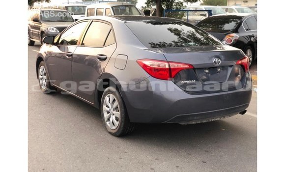 Buy Import Toyota Corolla Other Car in Import - Dubai in Baa Buy Import Toyota Corolla Other Car in Import - Dubai in Baa