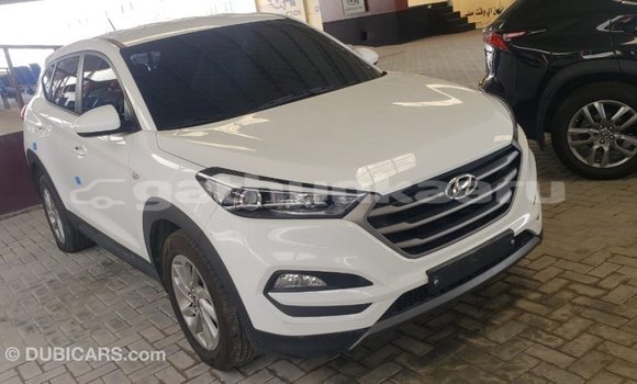 Buy Import Hyundai Tucson White Car in Import - Dubai in Baa Buy Import Hyundai Tucson White Car in Import - Dubai in Baa