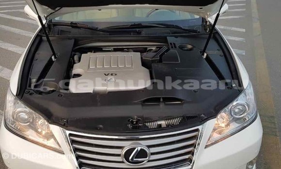Buy Import Lexus ES White Car in Import - Dubai in Baa