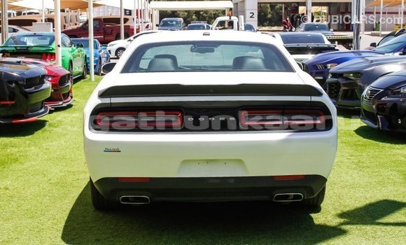 Buy Import Dodge Challenger White Car in Import - Dubai in Baa Buy Import Dodge Challenger White Car in Import - Dubai in Baa