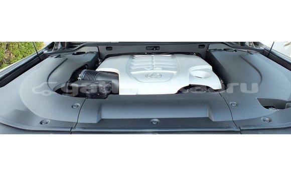 Buy Import Lexus LX Other Car in Import - Dubai in Baa Buy Import Lexus LX Other Car in Import - Dubai in Baa