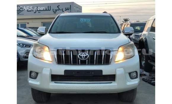 Buy Import Toyota Prado White Car in Import - Dubai in Baa Buy Import Toyota Prado White Car in Import - Dubai in Baa