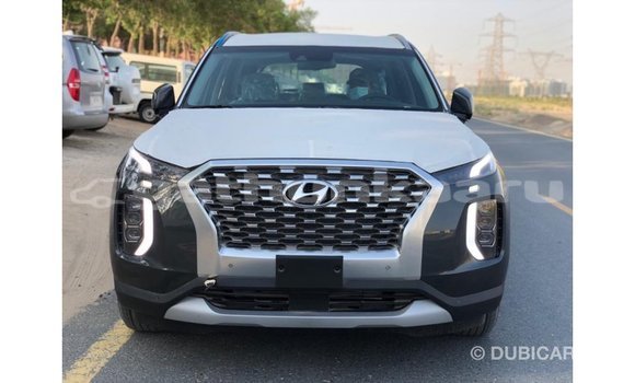 Buy Import Hyundai Chorus Other Truck in Import - Dubai in Baa Buy Import Hyundai Chorus Other Truck in Import - Dubai in Baa