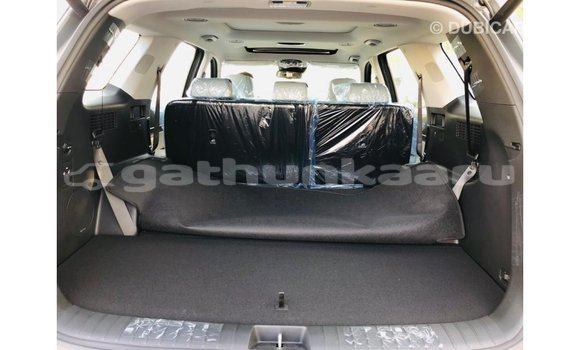 Buy Import Hyundai Chorus Other Truck in Import - Dubai in Baa Buy Import Hyundai Chorus Other Truck in Import - Dubai in Baa