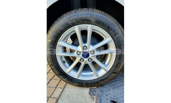 Buy Import Ford Focus White Car in Import - Dubai in Baa Buy Import Ford Focus White Car in Import - Dubai in Baa