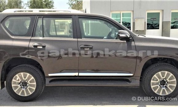 Buy Import Toyota Prado Brown Car in Import - Dubai in Baa Buy Import Toyota Prado Brown Car in Import - Dubai in Baa