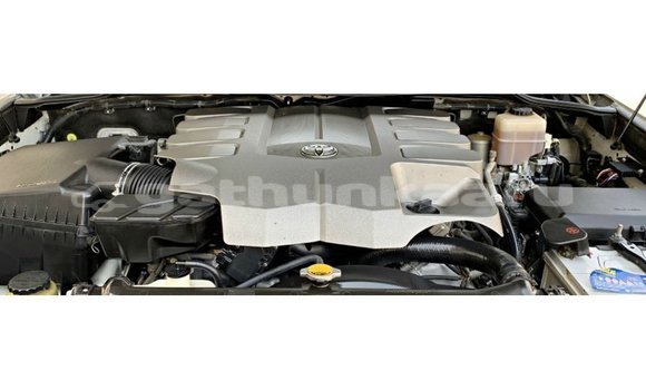 Buy Import Toyota Land Cruiser White Car in Import - Dubai in Baa Buy Import Toyota Land Cruiser White Car in Import - Dubai in Baa