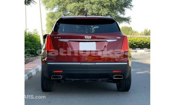 Buy Import Cadillac XT5 Red Car in Import - Dubai in Baa Buy Import Cadillac XT5 Red Car in Import - Dubai in Baa