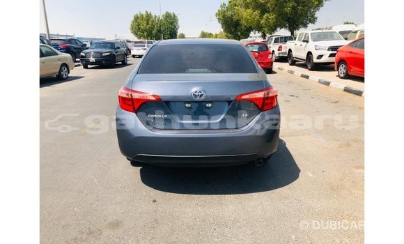 Buy Import Toyota Corolla Other Car in Import - Dubai in Baa Buy Import Toyota Corolla Other Car in Import - Dubai in Baa