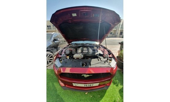 Buy Import Ford Mustang Red Car in Import - Dubai in Baa Buy Import Ford Mustang Red Car in Import - Dubai in Baa