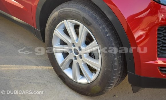Buy Import Jaguar E-Pace Red Car in Import - Dubai in Baa