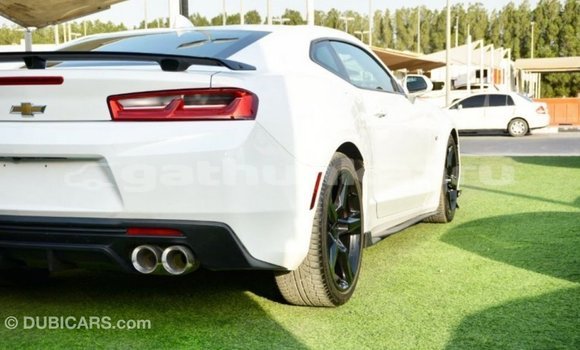 Buy Import Chevrolet Camaro White Car in Import - Dubai in Baa Buy Import Chevrolet Camaro White Car in Import - Dubai in Baa
