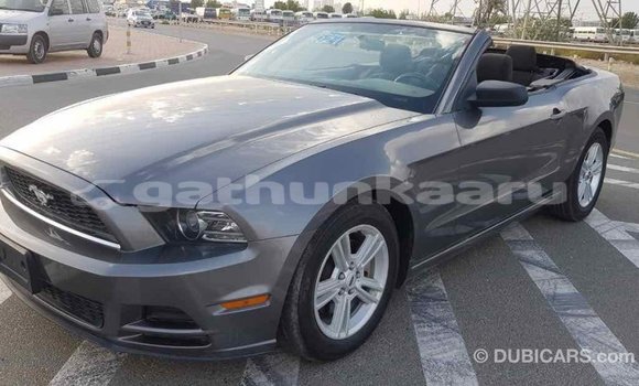 Buy Import Ford Mustang Other Car in Import - Dubai in Baa Buy Import Ford Mustang Other Car in Import - Dubai in Baa