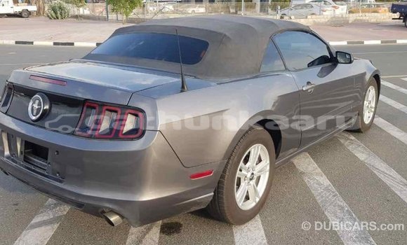 Buy Import Ford Mustang Other Car in Import - Dubai in Baa Buy Import Ford Mustang Other Car in Import - Dubai in Baa