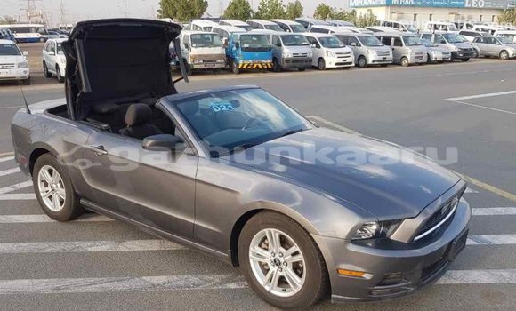 Buy Import Ford Mustang Other Car in Import - Dubai in Baa Buy Import Ford Mustang Other Car in Import - Dubai in Baa