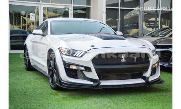 Buy Import Ford Mustang White Car in Import - Dubai in Baa Buy Import Ford Mustang White Car in Import - Dubai in Baa