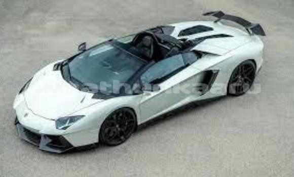 Buy New Lamborghini Aventador White Car in Meedhoo in Dhaal Buy New Lamborghini Aventador White Car in Meedhoo in Dhaal