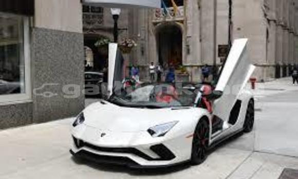 Buy New Lamborghini Aventador White Car in Meedhoo in Dhaal Buy New Lamborghini Aventador White Car in Meedhoo in Dhaal