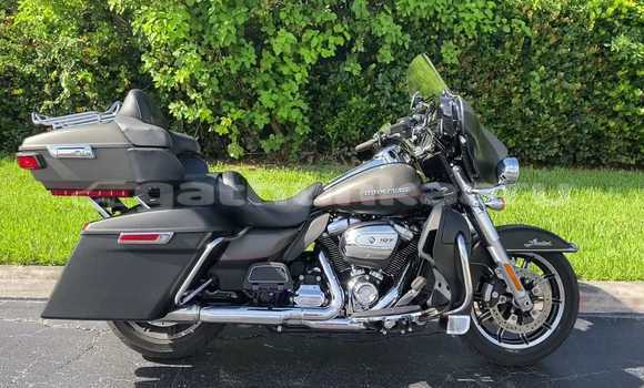 Buy Used Harley Davidson Ultra Beige Bike in Goidhoo in Shaviyani Buy Used Harley Davidson Ultra Beige Bike in Goidhoo in Shaviyani