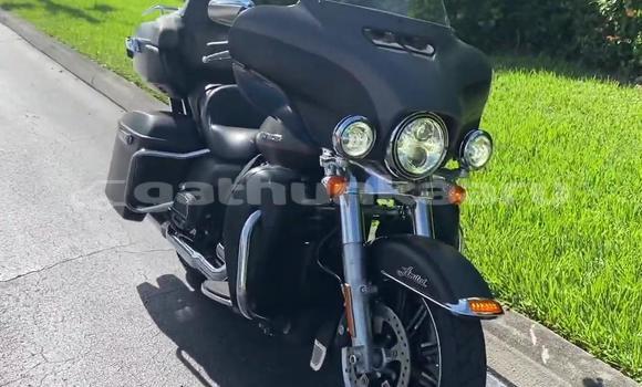 Buy Used Harley Davidson Ultra Beige Bike in Goidhoo in Shaviyani Buy Used Harley Davidson Ultra Beige Bike in Goidhoo in Shaviyani