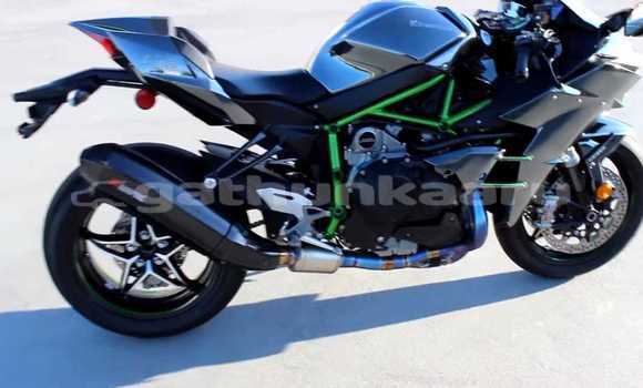 Buy Used Kawasaki Ninja Beige Bike in Maakurathu in Raa Buy Used Kawasaki Ninja Beige Bike in Maakurathu in Raa
