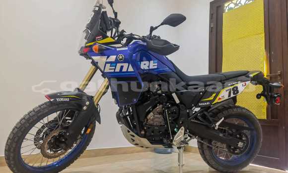 Buy Used Yamaha TENERE Blue Bike in Agolhitheemu in Raa
