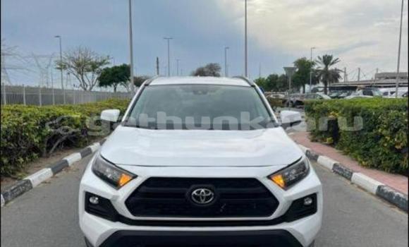Buy Import Toyota RAV4 White Car in Fulidhoo in Vaav