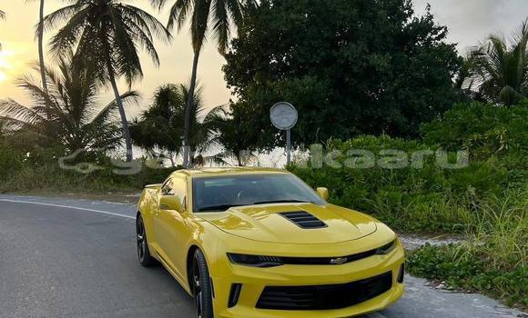 Buy Used Chevrolet Camaro Other Car in Maafushi in Kaaf