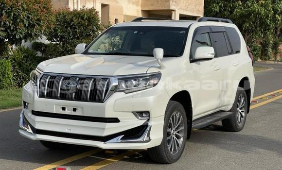 Buy Used Toyota Land Cruiser Prado White Car in Dhabidhoo in Laam