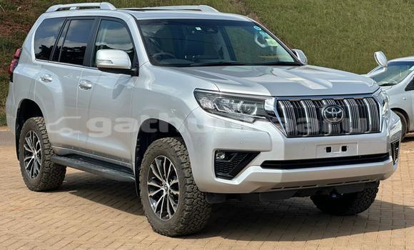 Buy Used Toyota Land Cruiser Prado White Car in Dhabidhoo in Laam Buy Used Toyota Land Cruiser Prado White Car in Dhabidhoo in Laam