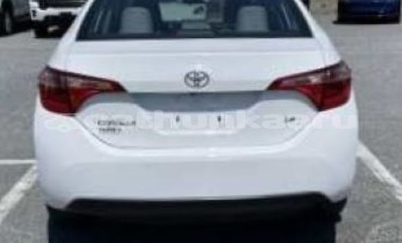 Buy Used Toyota Corolla White Car in Dhabidhoo in Laam