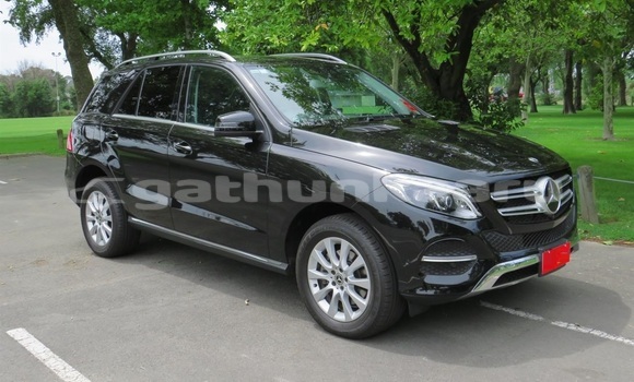 Buy Used Mercedes-Benz GLE Black Car in Maroshi in Shaviyani