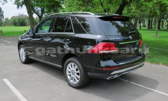 Buy Used Mercedes-Benz GLE Black Car in Maroshi in Shaviyani Buy Used Mercedes-Benz GLE Black Car in Maroshi in Shaviyani