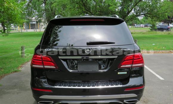 Buy Used Mercedes-Benz GLE Black Car in Maroshi in Shaviyani Buy Used Mercedes-Benz GLE Black Car in Maroshi in Shaviyani