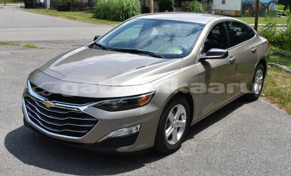 Buy Used Chevrolet Malibu Other Car in Vaanee in Dhaal