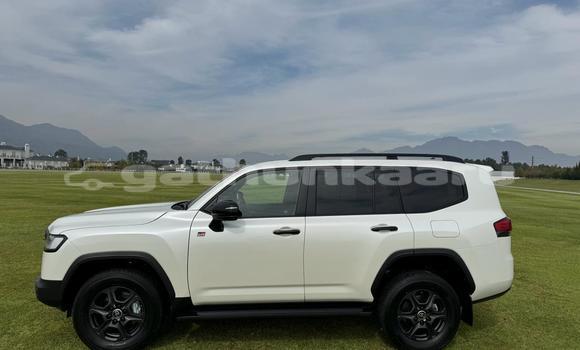 Buy Used Toyota Land Cruiser White Car in Dhabidhoo in Laam Buy Used Toyota Land Cruiser White Car in Dhabidhoo in Laam