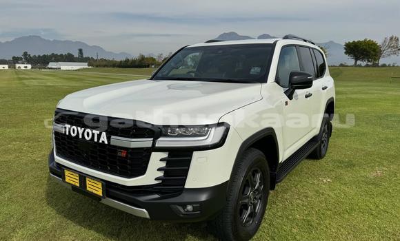 Buy Used Toyota Land Cruiser White Car in Dhabidhoo in Laam Buy Used Toyota Land Cruiser White Car in Dhabidhoo in Laam