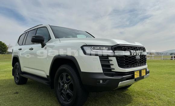 Buy Used Toyota Land Cruiser White Car in Dhabidhoo in Laam Buy Used Toyota Land Cruiser White Car in Dhabidhoo in Laam