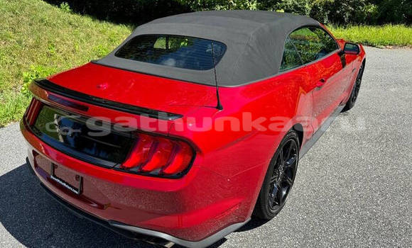 Buy Used Ford Mustang Red Car in Guraidhoo in Thaa Buy Used Ford Mustang Red Car in Guraidhoo in Thaa