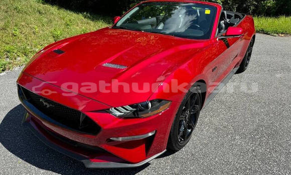 Buy Used Ford Mustang Red Car in Guraidhoo in Thaa Buy Used Ford Mustang Red Car in Guraidhoo in Thaa