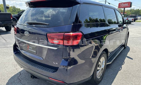 Buy Used Kia Sedona Blue Car in Omadhoo in Thaa Buy Used Kia Sedona Blue Car in Omadhoo in Thaa