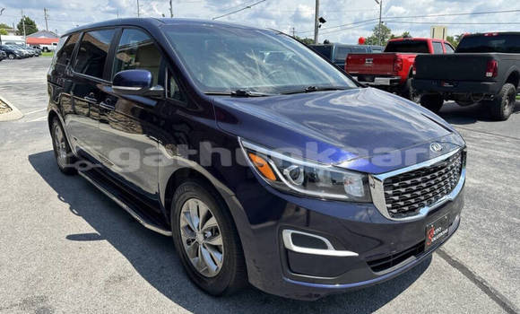 Buy Used Kia Sedona Blue Car in Omadhoo in Thaa Buy Used Kia Sedona Blue Car in Omadhoo in Thaa