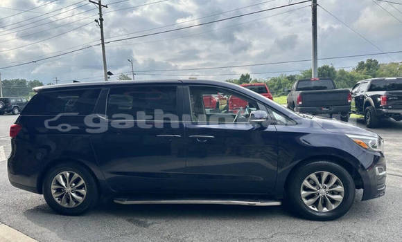 Buy Used Kia Sedona Blue Car in Omadhoo in Thaa Buy Used Kia Sedona Blue Car in Omadhoo in Thaa